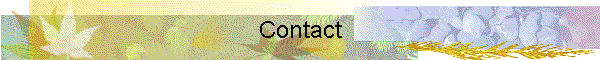 Contact